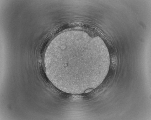 X0000115310617200912141138