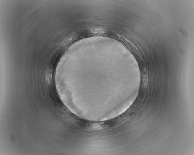 X0000115310618200912141138