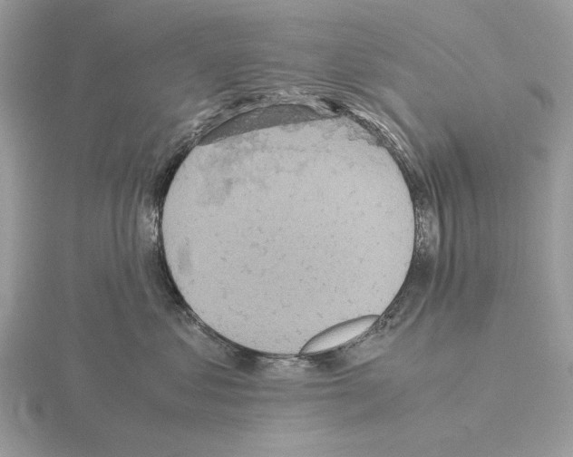 X0000115310621200912141138