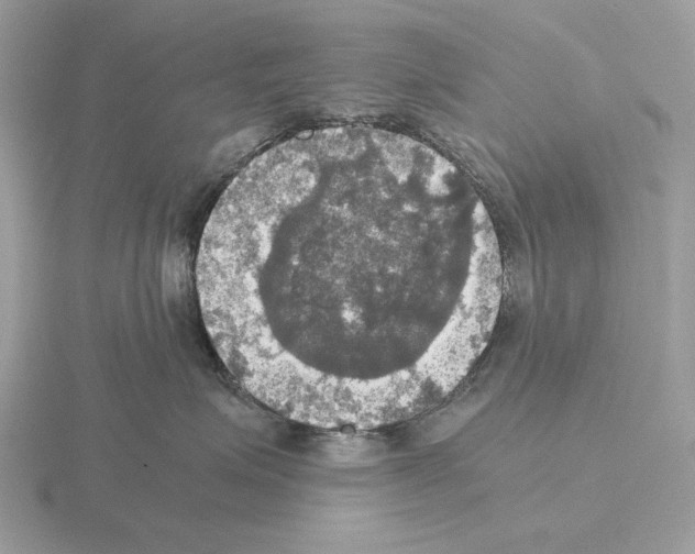 X0000115310623200912141138