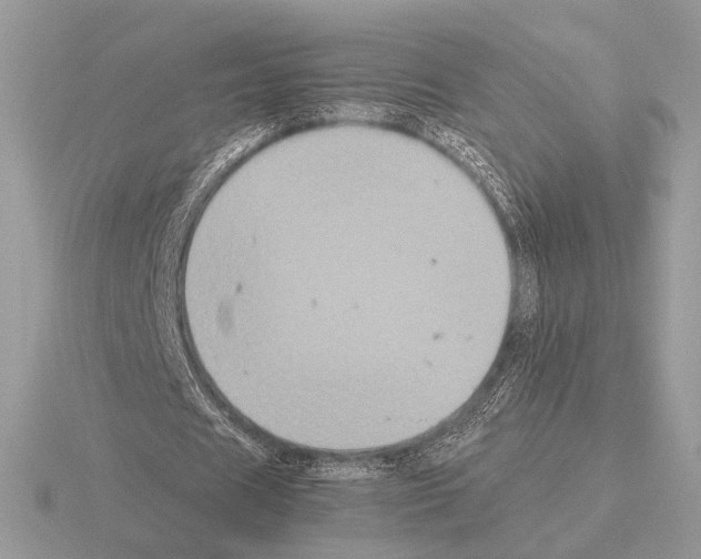 X0000115310625200912141138