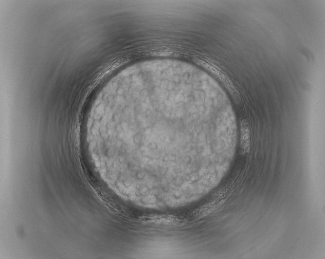 X0000115310626200912141138