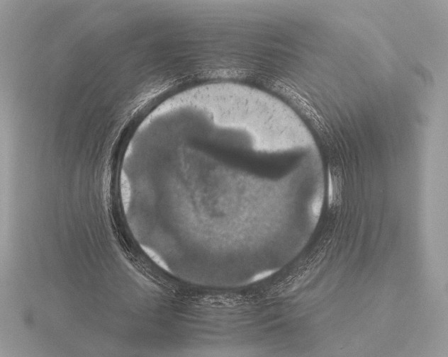 X0000115310627200912141138