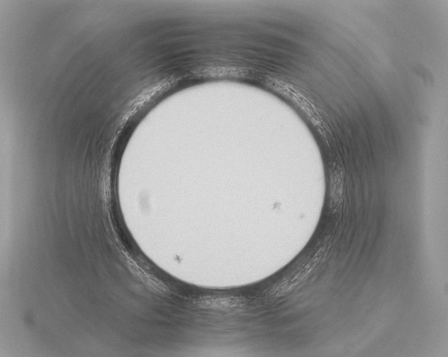 X0000115310629200912141138