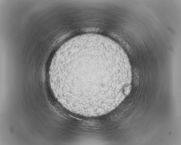 X0000115310631200912141138