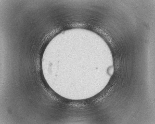 X0000115310633200912141138