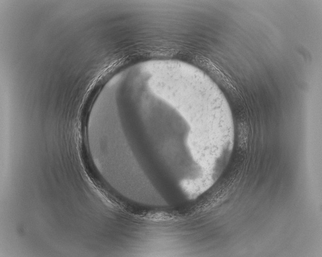 X0000115310634200912141138