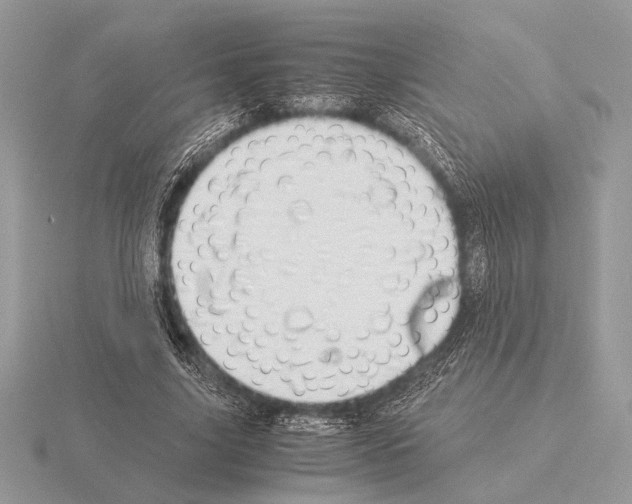 X0000115310635200912141138