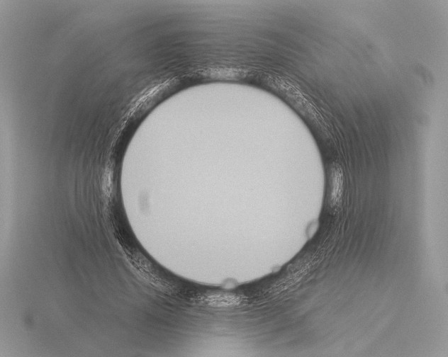 X0000115310636200912141138