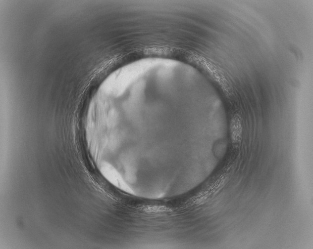 X0000115310637200912141138