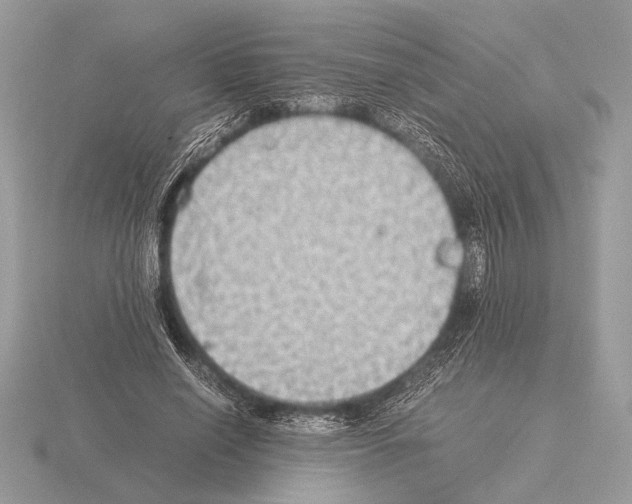 X0000115310638200912141138