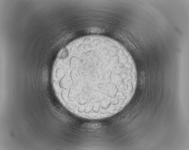 X0000115310639200912141138