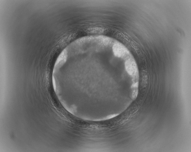 X0000115310641200912141138