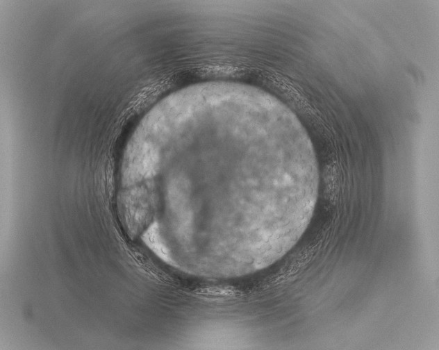 X0000115310642200912141138