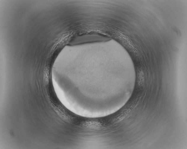 X0000115310644200912141138