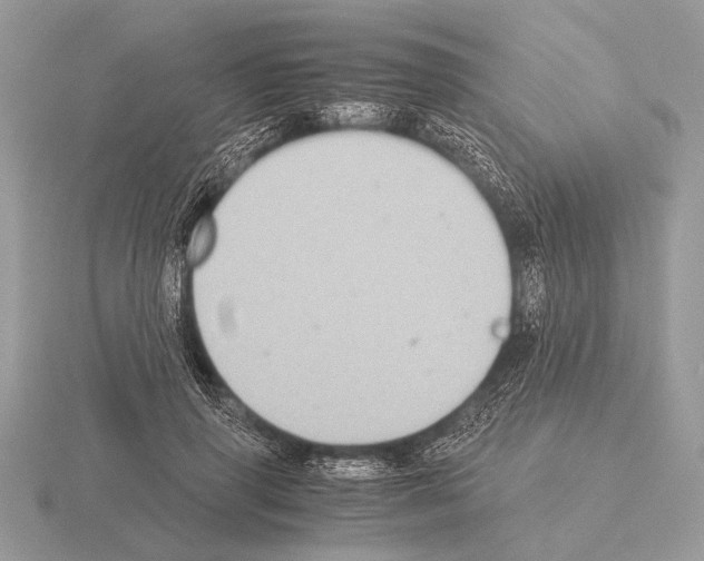 X0000115310645200912141138