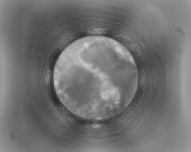 X0000115310647200912141138