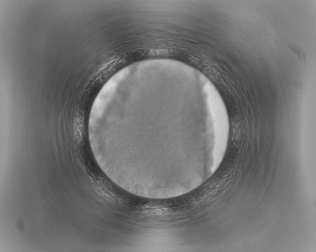 X0000115310648200912141138