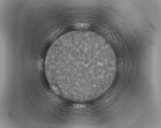 X0000115310649200912141138