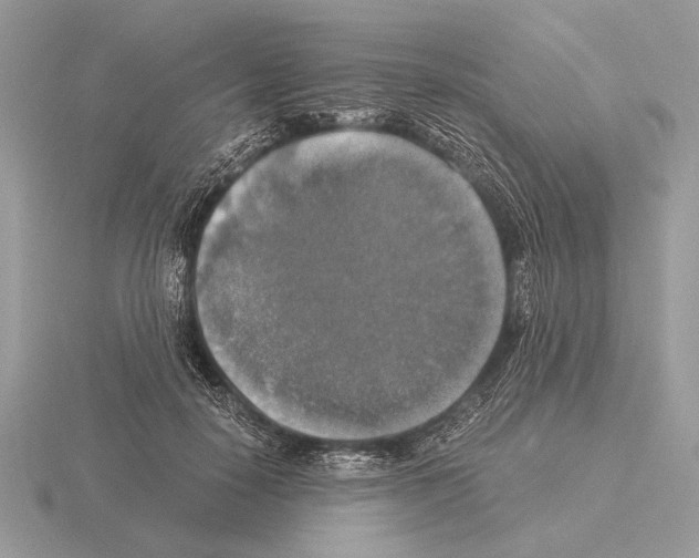 X0000115310650200912141138