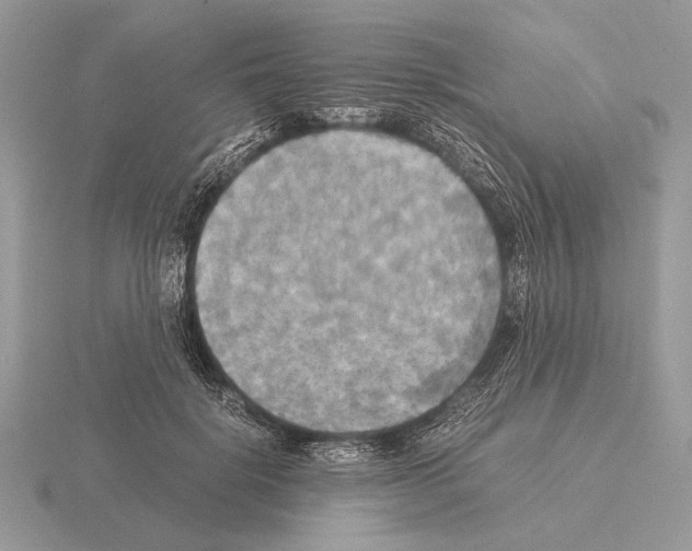 X0000115310652200912141138