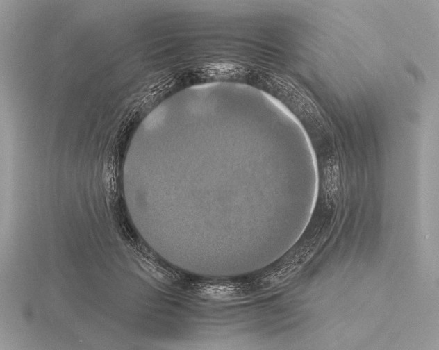 X0000115310653200912141138