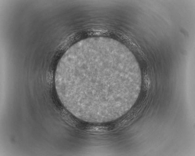 X0000115310657200912141138