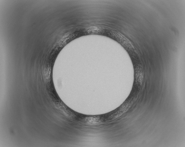 X0000115310660200912141138