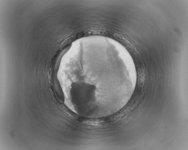 X0000115310661200912141138