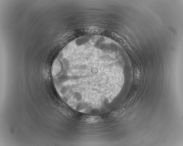 X0000115310663200912141138