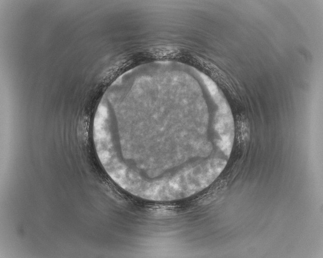 X0000115310664200912141138