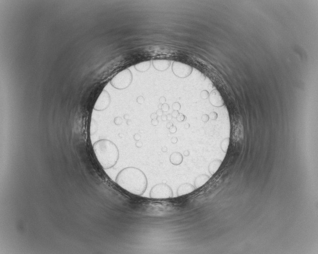 X0000115310666200912141138