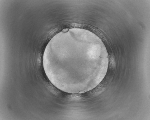 X0000115310668200912141138