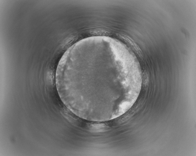 X0000115310669200912141138