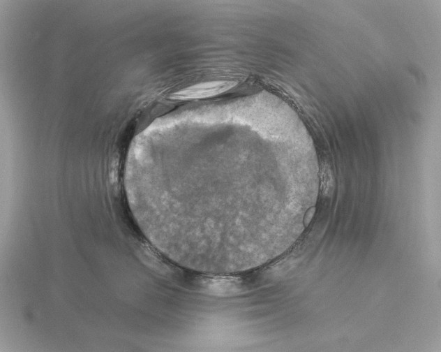 X0000115310670200912141138