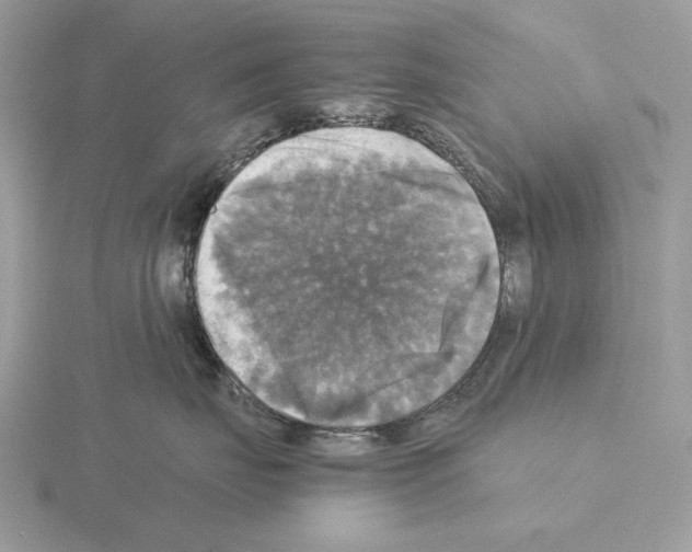 X0000115310671200912141138