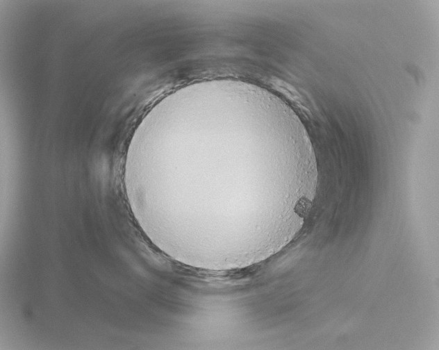 X0000115310672200912141138