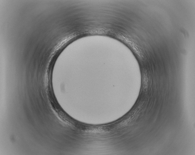 X0000115310674200912141137