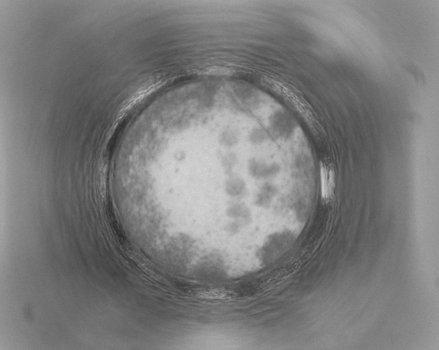 X0000115310675200912141137