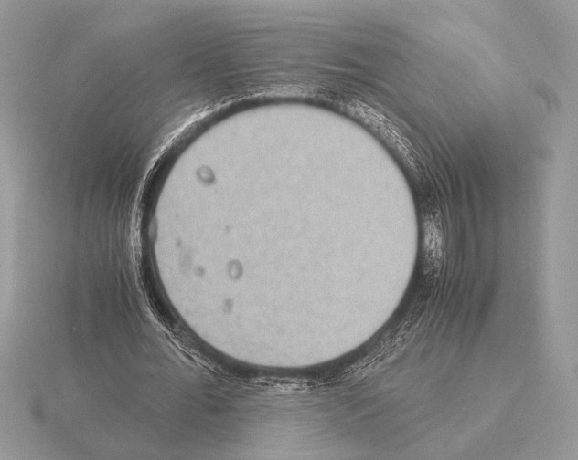 X0000115310676200912141137