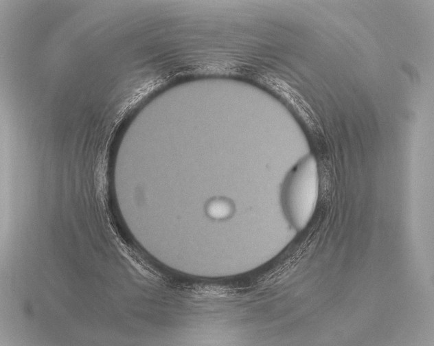 X0000115310677200912141137