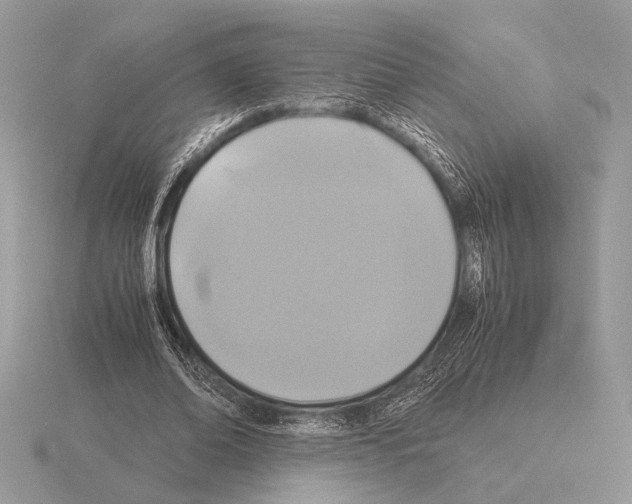 X0000115310678200912141137