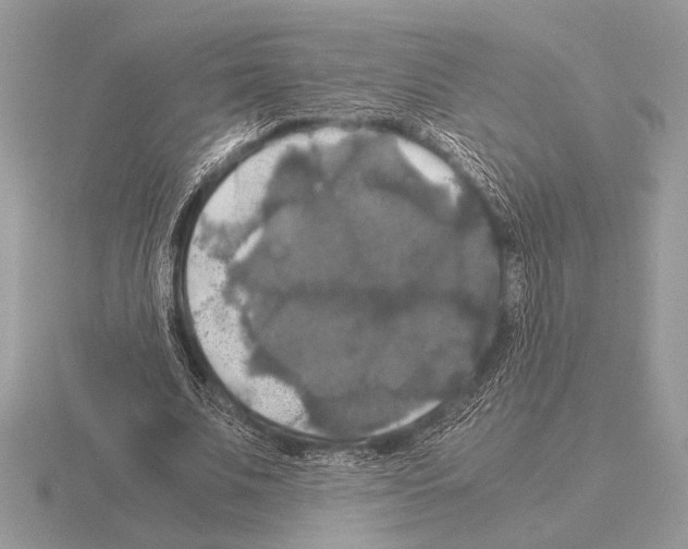 X0000115310679200912141137