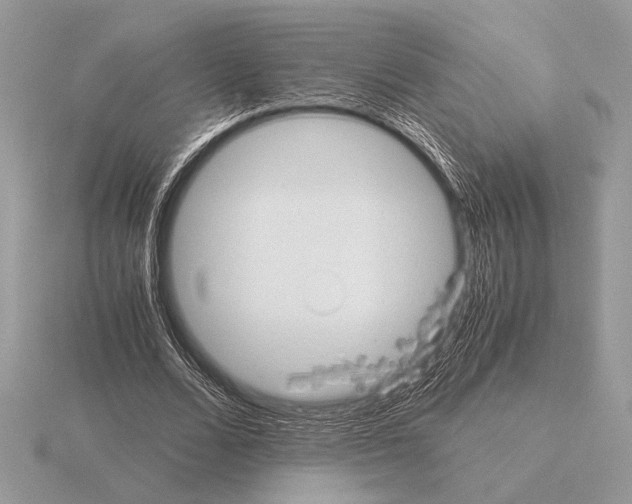 X0000115310680200912141137