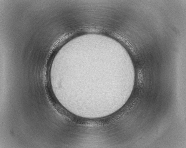 X0000115310682200912141137