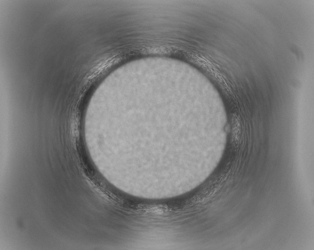 X0000115310683200912141137