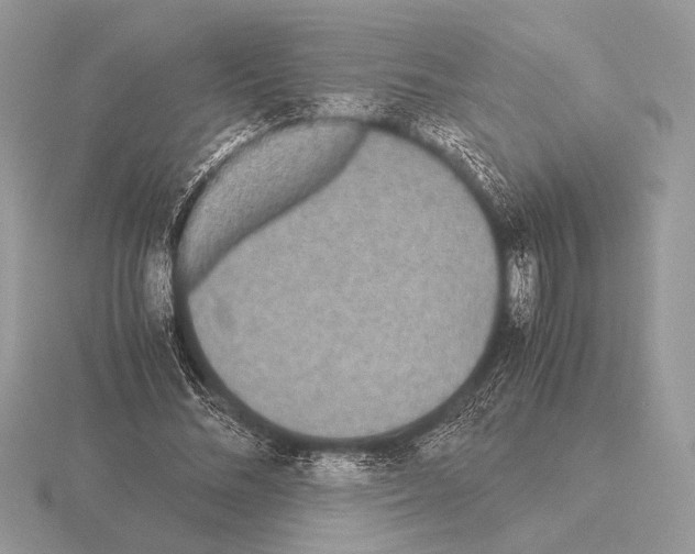 X0000115310684200912141137