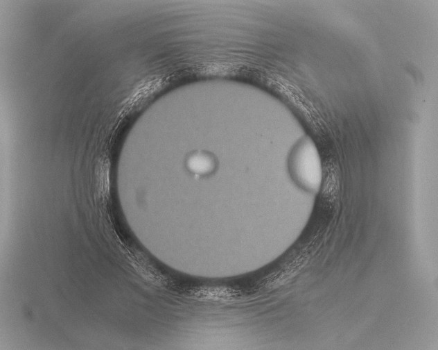 X0000115310685200912141137