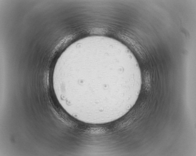 X0000115310686200912141137