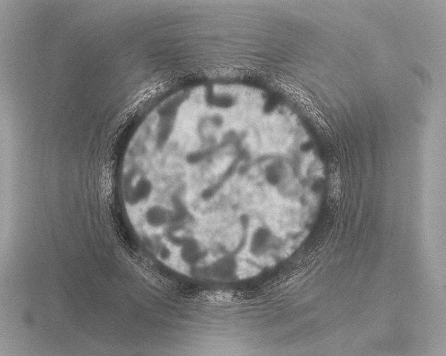 X0000115310687200912141137